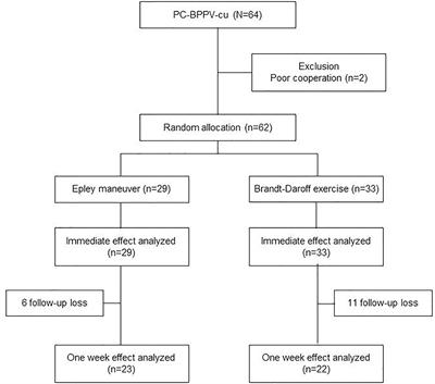 Effect of the Epley Maneuver and Brandt-Daroff Exercise on Benign Paroxysmal Positional Vertigo Involving the Posterior Semicircular Canal Cupulolithiasis: A Randomized Clinical Trial